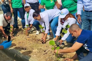 Digecac y la UAPA siembran 2,500 plantas en la avenida Ecológica 2 siebra uapa marzo 2025