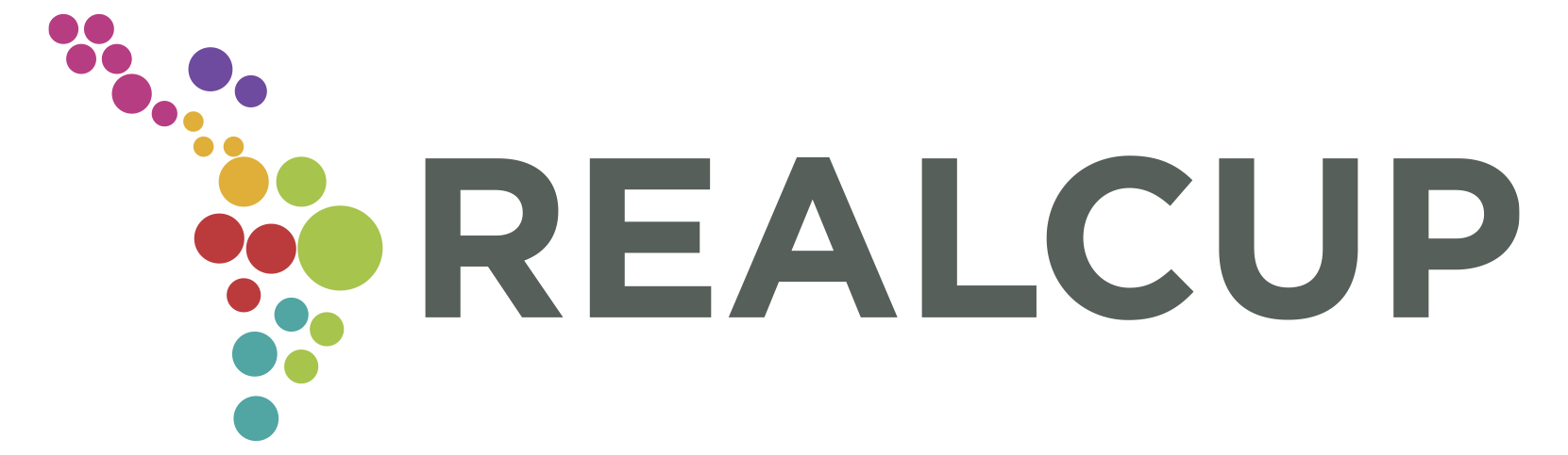 Impacto Institucional 11 RealCUP